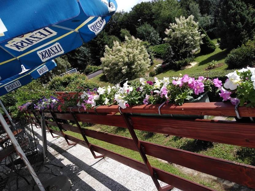 Osrodek Wypoczynkowy " Bieszczady" Hotel Myczkowce Eksteriør billede